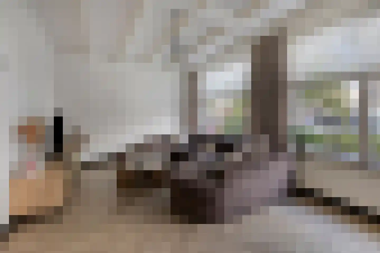 Waalseweg 30 Someren thumbnail 12