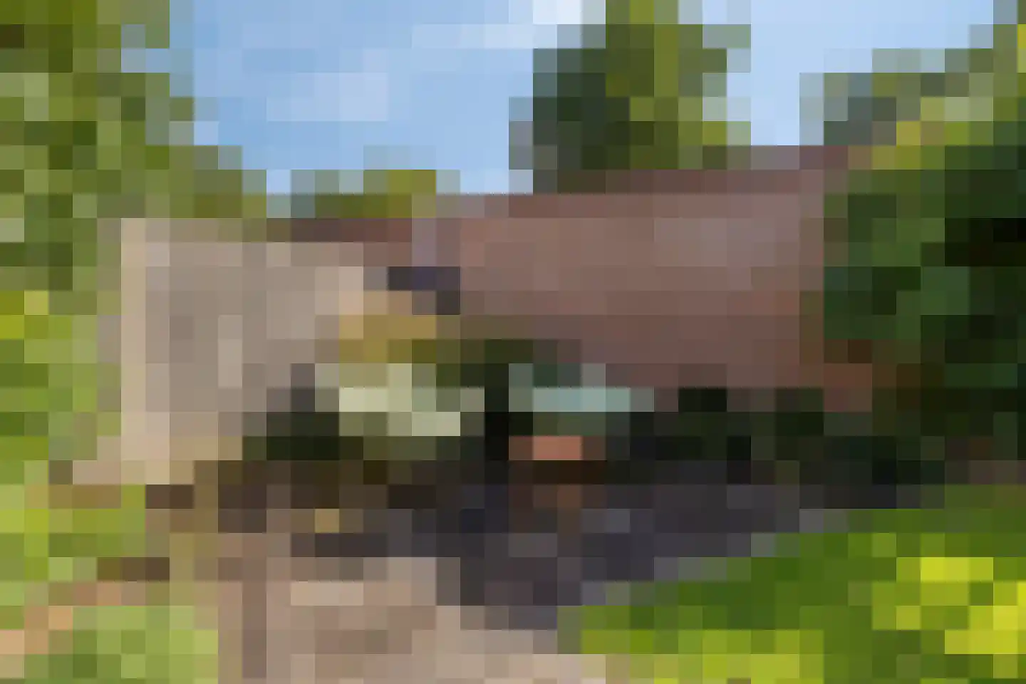 Waalseweg 30 Someren thumbnail 34