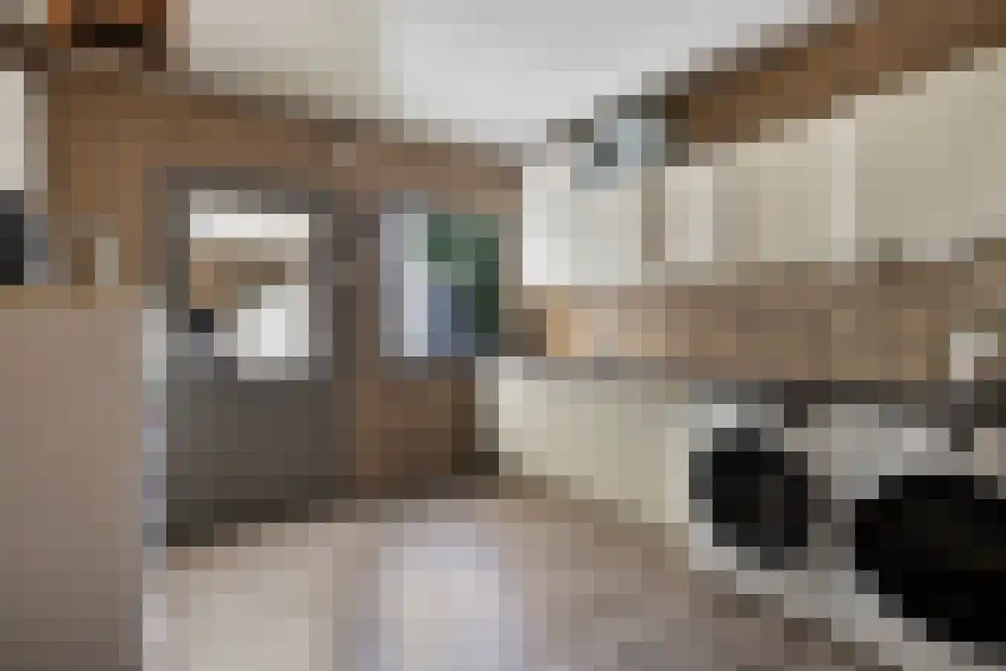 Waalseweg 30 Someren thumbnail 38