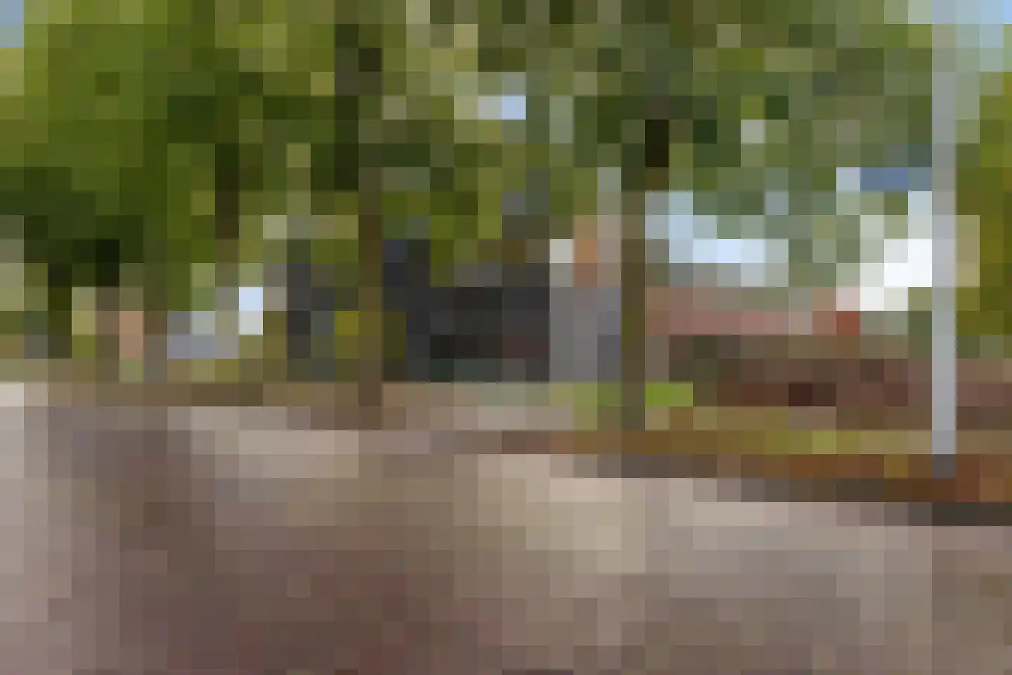 Waalseweg 30 Someren thumbnail 40