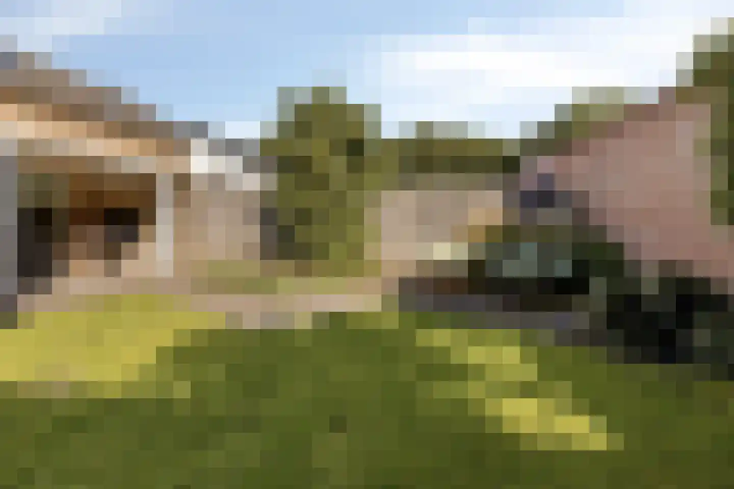 Waalseweg 30 Someren thumbnail 6