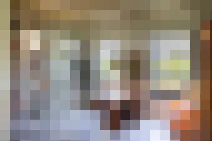 Waalseweg 49 Tull en 't Waal thumbnail 10