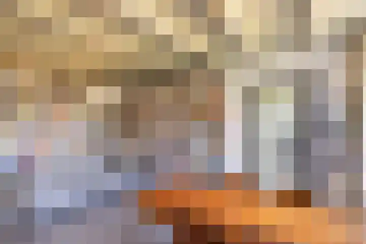 Waalseweg 49 Tull en 't Waal thumbnail 11