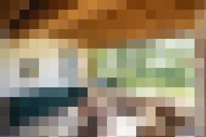 Waalseweg 49 Tull en 't Waal thumbnail 16