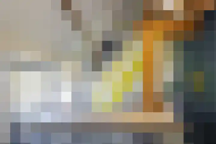 Waalseweg 49 Tull en 't Waal thumbnail 17