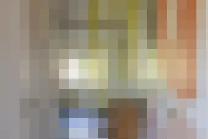 Waalseweg 49 Tull en 't Waal thumbnail 20