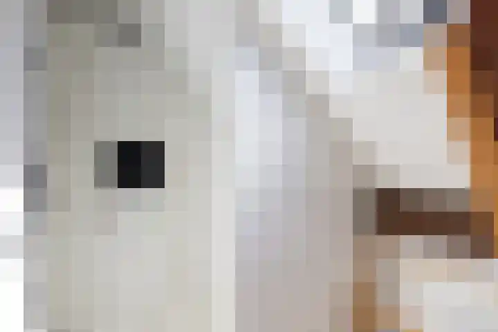Waalseweg 49 Tull en 't Waal thumbnail 26