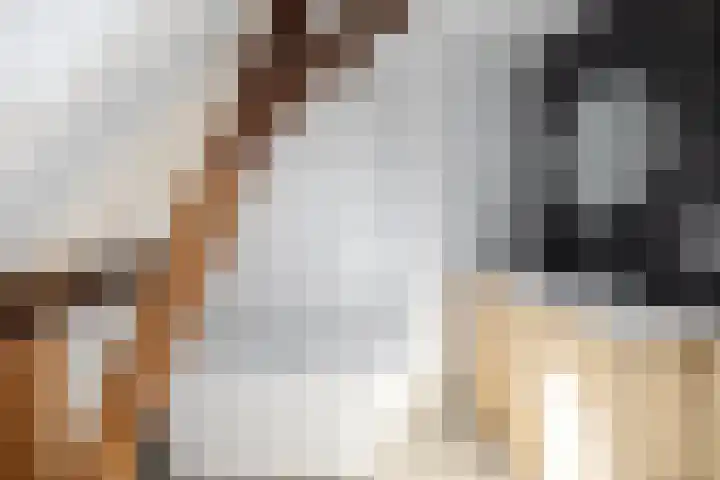 Waalseweg 49 Tull en 't Waal thumbnail 28