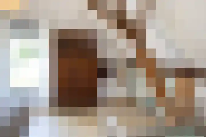 Waalseweg 49 Tull en 't Waal thumbnail 30