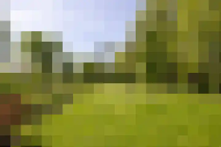 Waalseweg 49 Tull en 't Waal thumbnail 38
