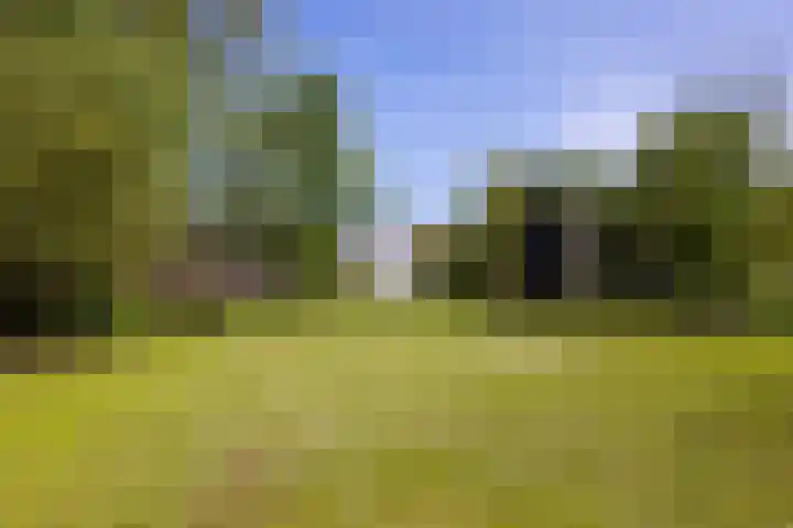 Waalseweg 49 Tull en 't Waal thumbnail 39