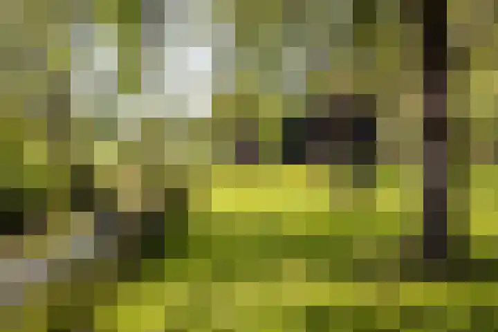 Waalseweg 49 Tull en 't Waal thumbnail 4