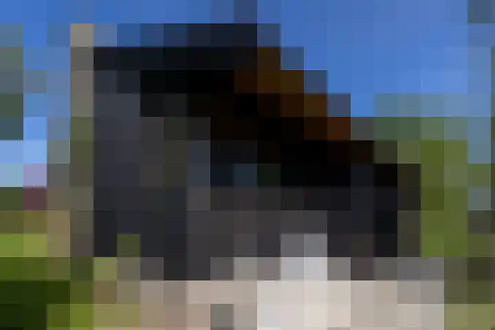 Waalseweg 49 Tull en 't Waal thumbnail 41