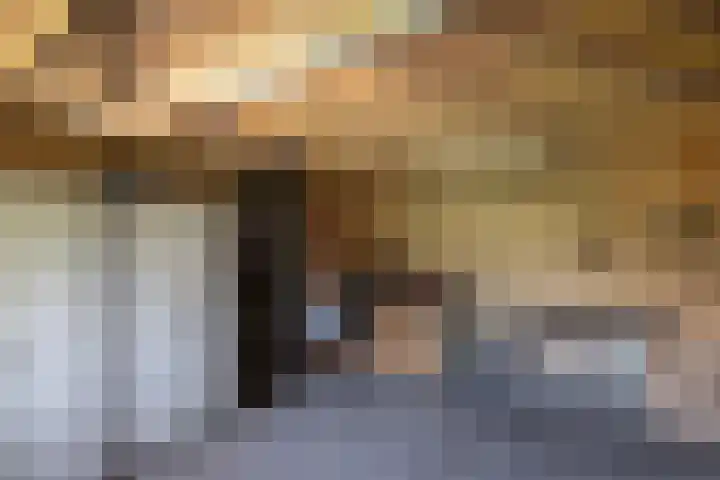 Waalseweg 49 Tull en 't Waal thumbnail 42