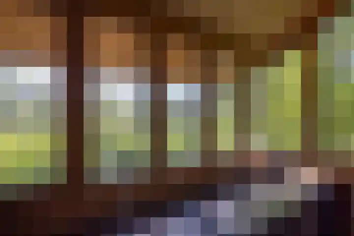 Waalseweg 49 Tull en 't Waal thumbnail 43