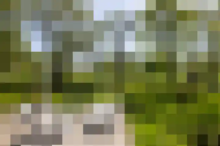 Waalseweg 49 Tull en 't Waal thumbnail 44