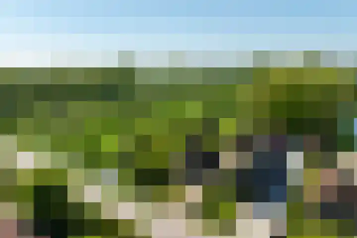 Waalseweg 49 Tull en 't Waal thumbnail 45