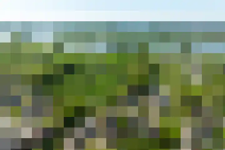 Waalseweg 49 Tull en 't Waal thumbnail 46