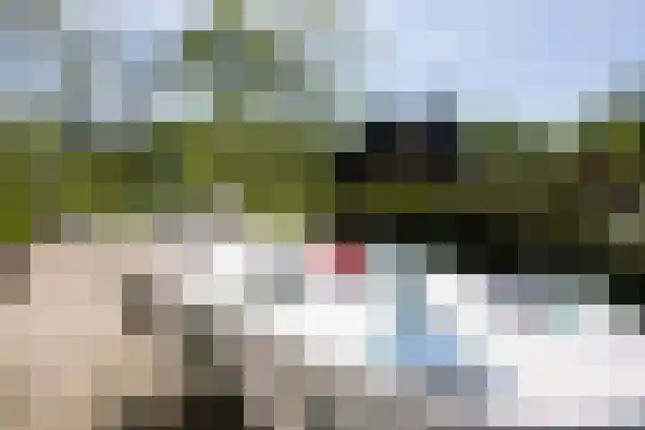 Waalseweg 49 Tull en 't Waal thumbnail 5