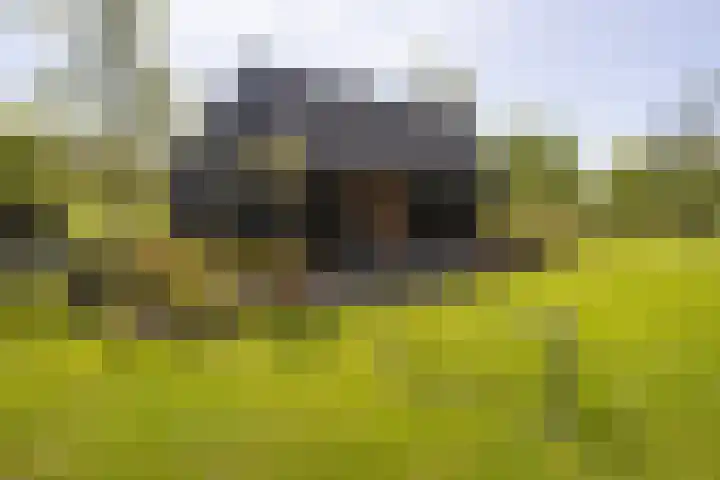 Waalseweg 49 Tull en 't Waal thumbnail 6