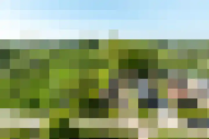 Waalseweg 49 Tull en 't Waal thumbnail 8