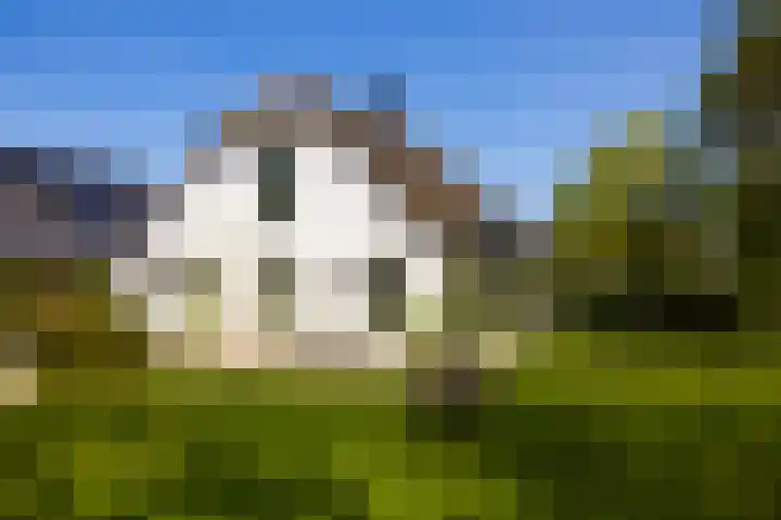 Waalseweg 49 Tull en 't Waal thumbnail 9