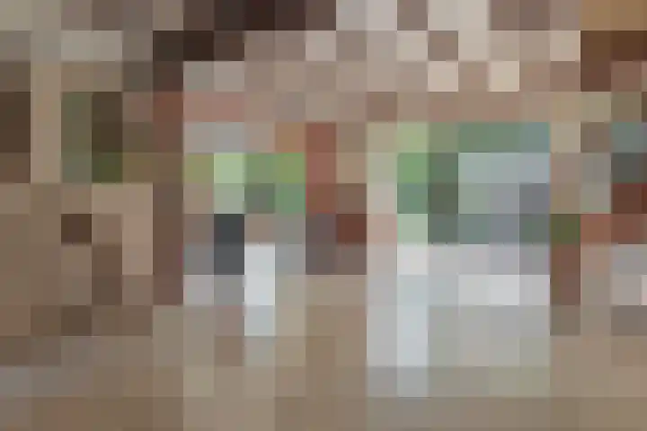 Waalseweg 52 d Tull en 't Waal thumbnail 10