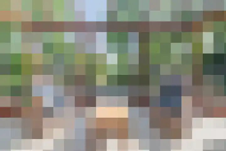 Waalseweg 52 d Tull en 't Waal thumbnail 11