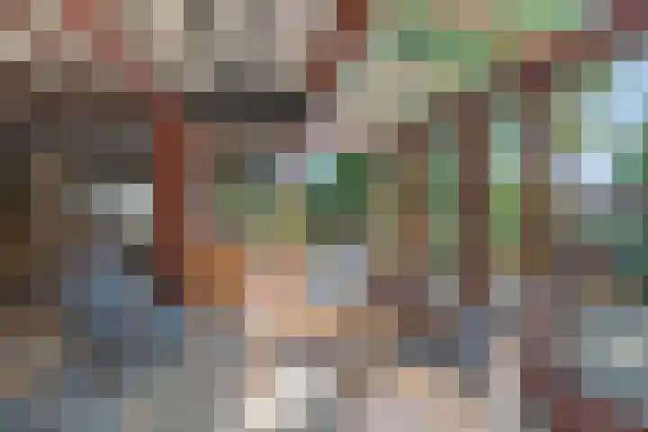 Waalseweg 52 d Tull en 't Waal thumbnail 12