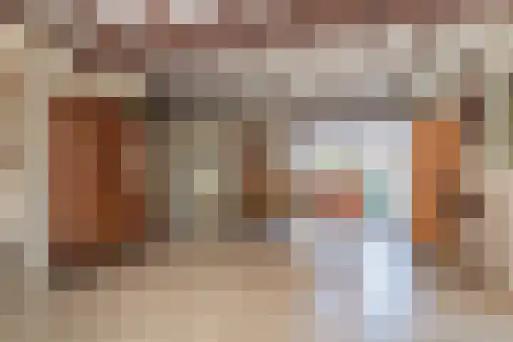 Waalseweg 52 d Tull en 't Waal thumbnail 13