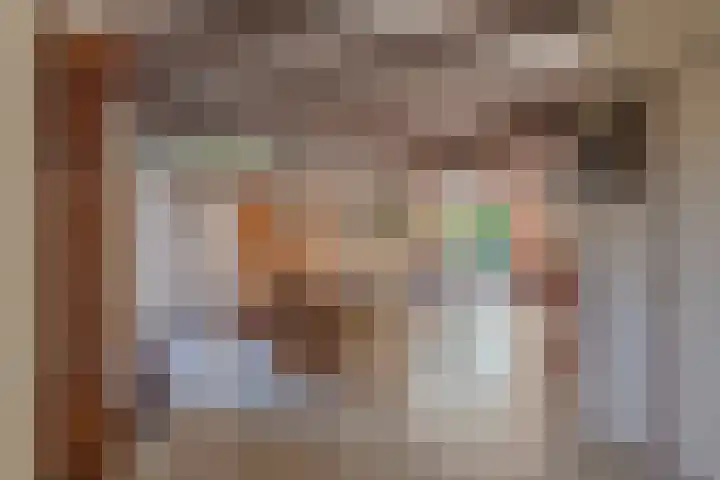 Waalseweg 52 d Tull en 't Waal thumbnail 14