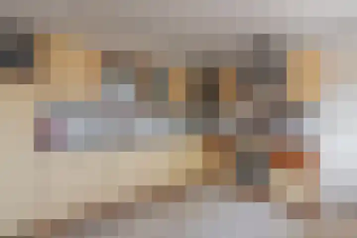 Waalseweg 52 d Tull en 't Waal thumbnail 15