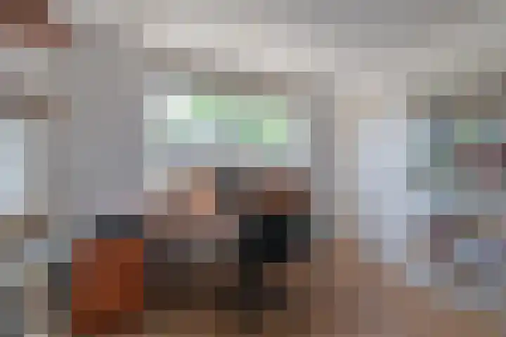 Waalseweg 52 d Tull en 't Waal thumbnail 17
