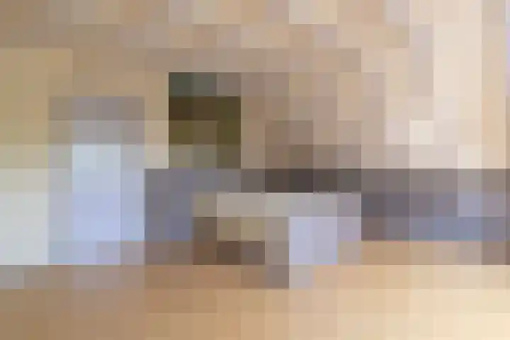 Waalseweg 52 d Tull en 't Waal thumbnail 18