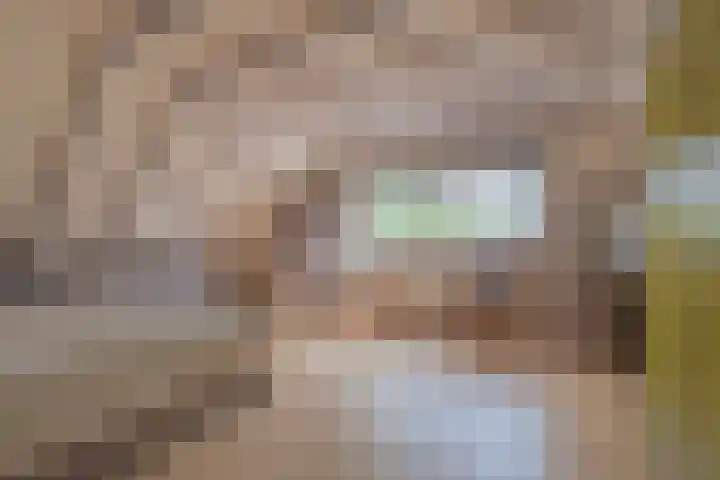 Waalseweg 52 d Tull en 't Waal thumbnail 19