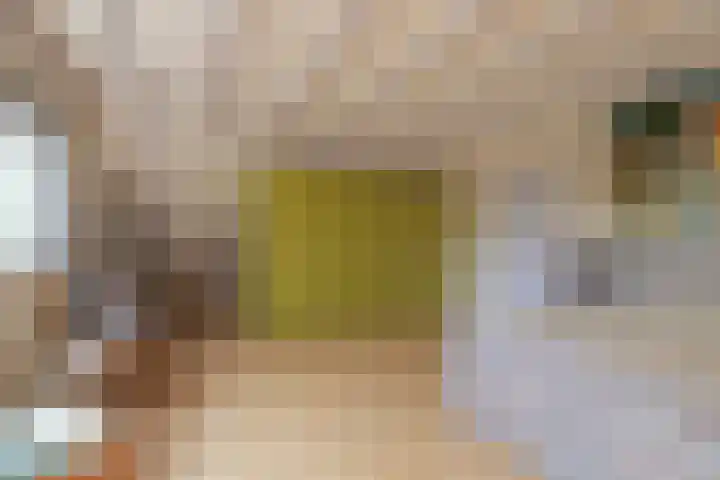 Waalseweg 52 d Tull en 't Waal thumbnail 20