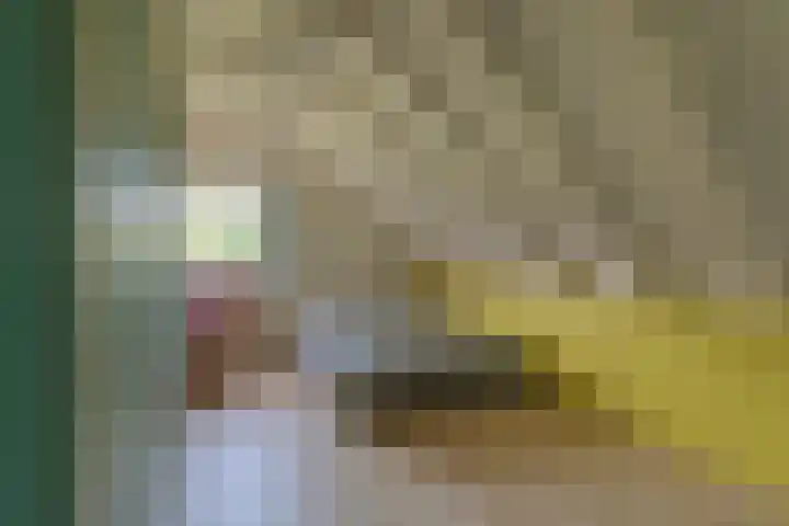 Waalseweg 52 d Tull en 't Waal thumbnail 21