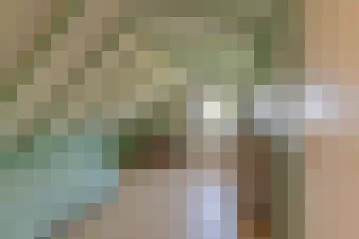 Waalseweg 52 d Tull en 't Waal thumbnail 22