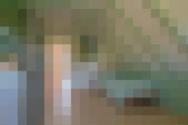 Waalseweg 52 d Tull en 't Waal thumbnail 23