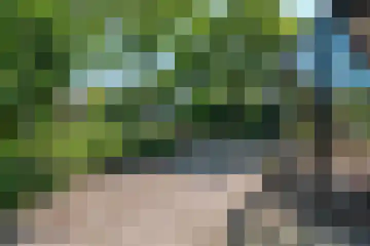Waalseweg 52 d Tull en 't Waal thumbnail 27