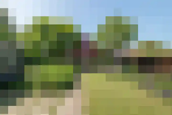 Waalseweg 52 d Tull en 't Waal thumbnail 29