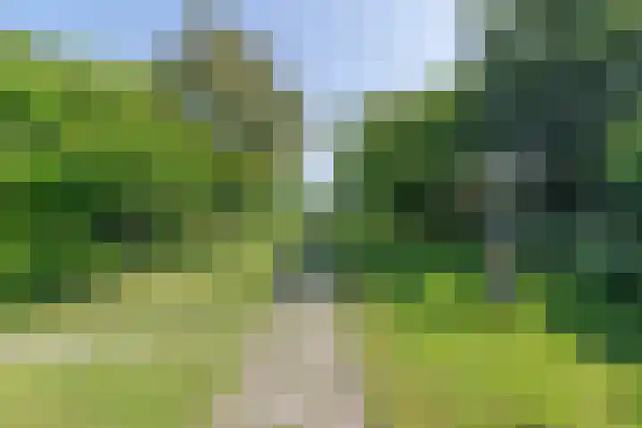 Waalseweg 52 d Tull en 't Waal thumbnail 30