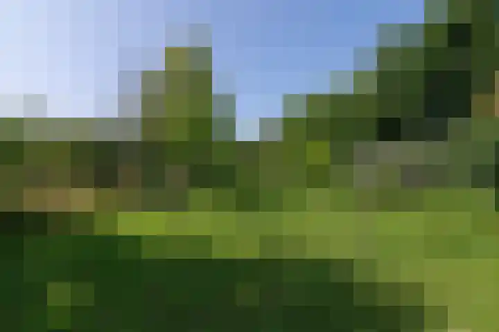 Waalseweg 52 d Tull en 't Waal thumbnail 31