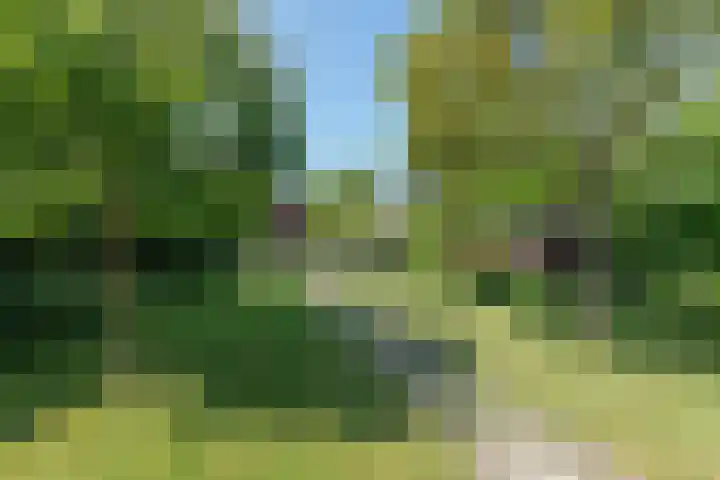 Waalseweg 52 d Tull en 't Waal thumbnail 32