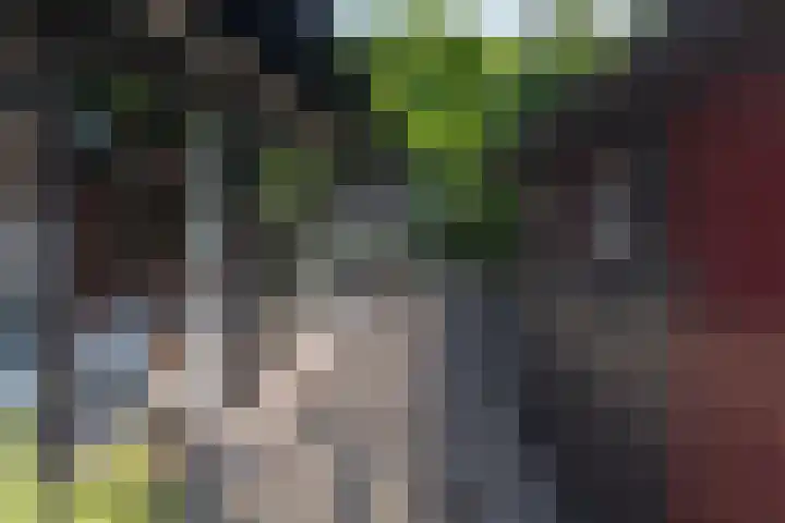 Waalseweg 52 d Tull en 't Waal thumbnail 33