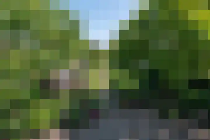 Waalseweg 52 d Tull en 't Waal thumbnail 35