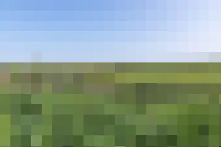 Waalseweg 52 d Tull en 't Waal thumbnail 36