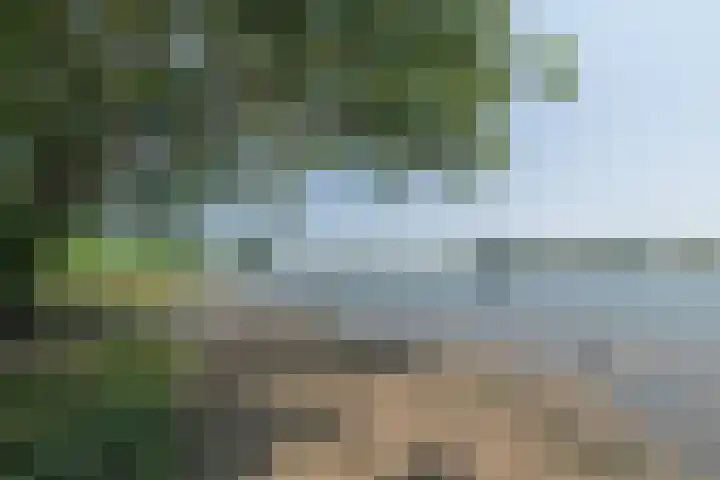 Waalseweg 52 d Tull en 't Waal thumbnail 37