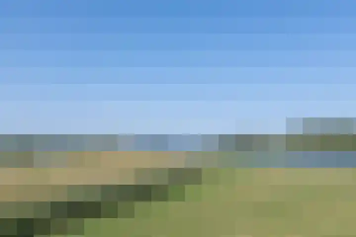 Waalseweg 52 d Tull en 't Waal thumbnail 38
