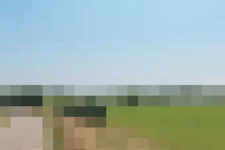 Waalseweg 52 d Tull en 't Waal thumbnail 39
